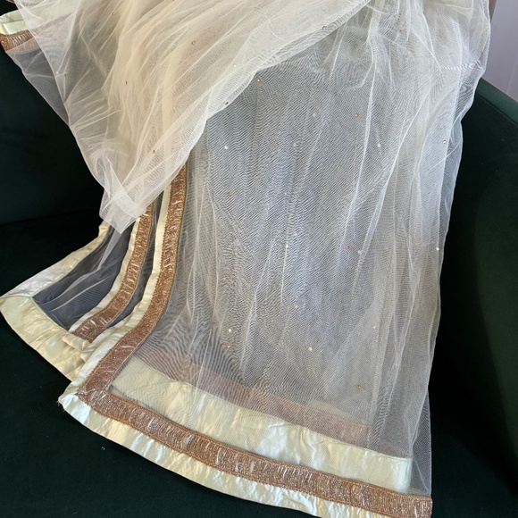 Light Green Indian Net Gown Overlay - Picture 6 of 9